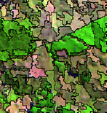 Forest Damage Classification (Landsat) Forest Damage Classification (Landsat)